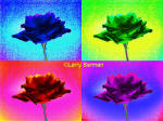 Color Infrared Photograph of Roses